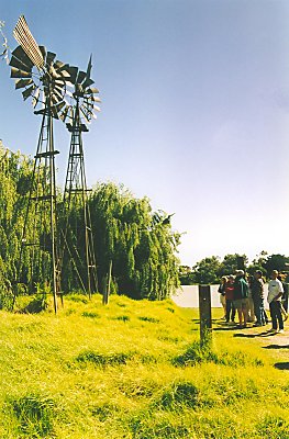 Vindmller ved Murray River