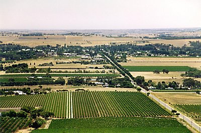 Kig ud over Borossa Valley