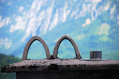 McD???