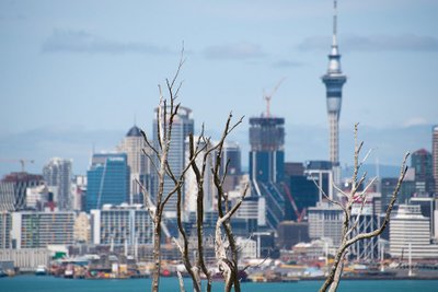 Auckland set fra Mount Victoria