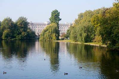 Buckingham Palace fra St. James Park