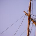 Tallship-122