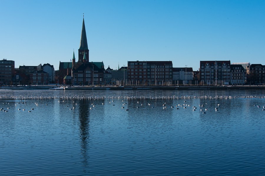 Havnen-135