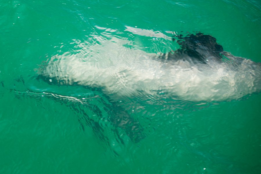 NewZealand-1018