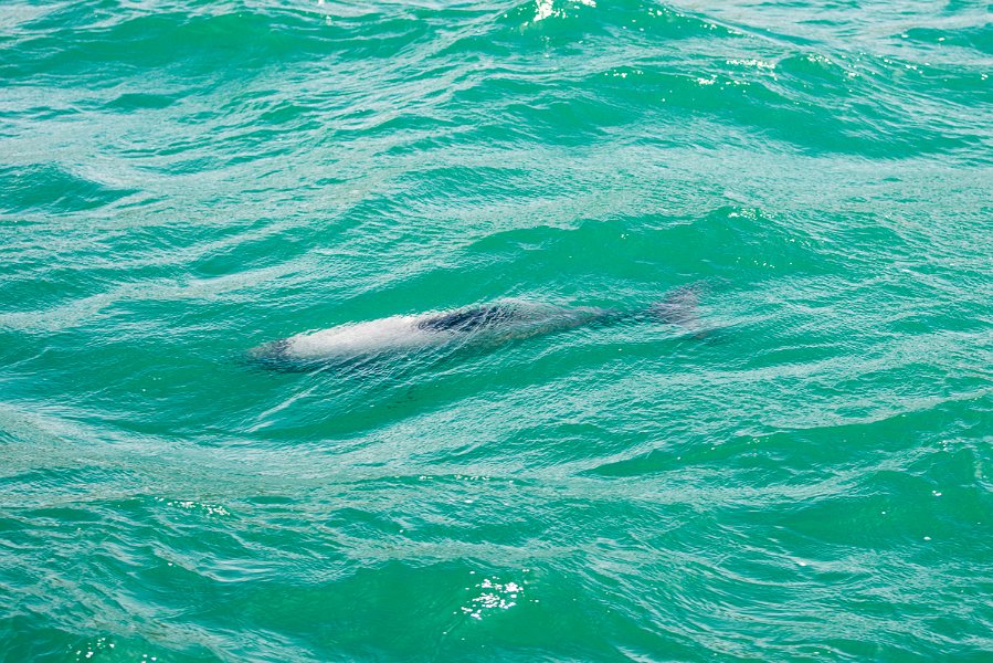 NewZealand-1022