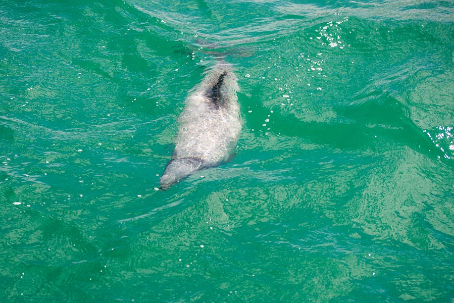 NewZealand-1024