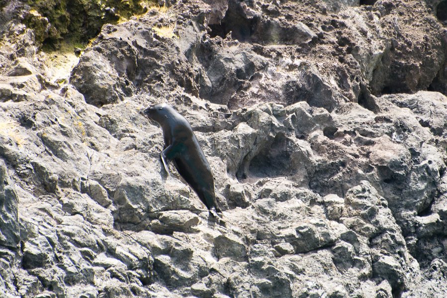 NewZealand-1070