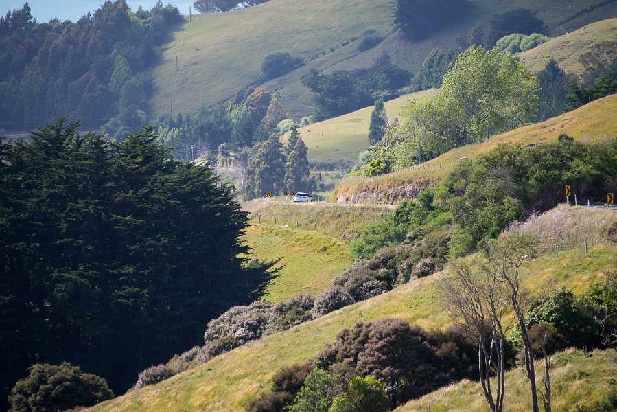 NewZealand-972