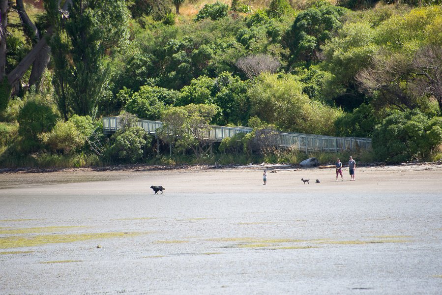 NewZealand-987