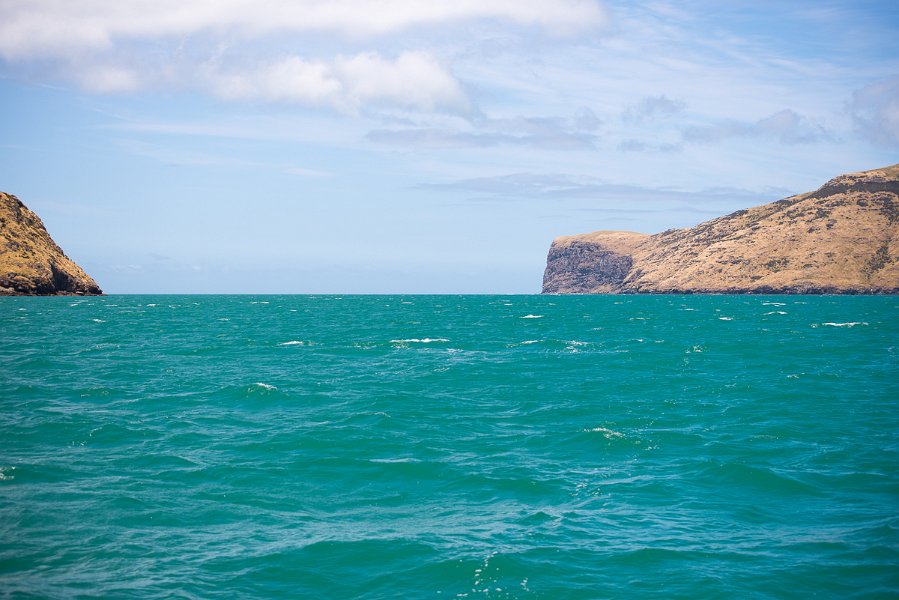 NewZealand-998