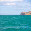 NewZealand-998