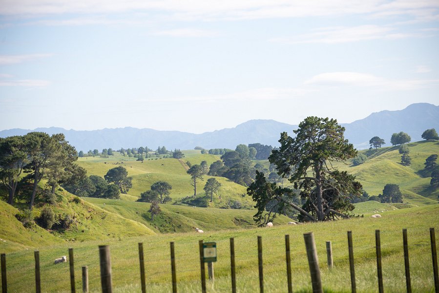 NewZealand-22