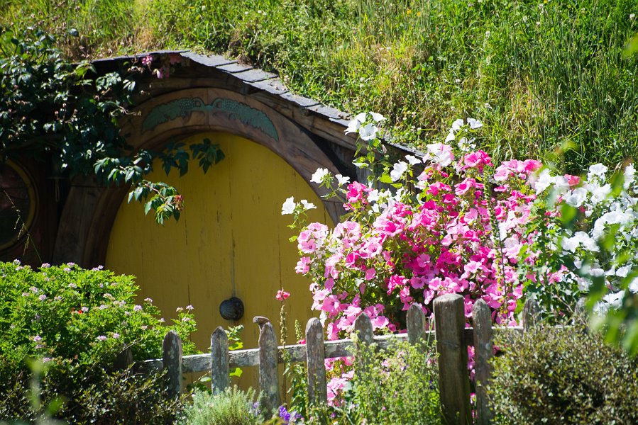 NewZealand-76