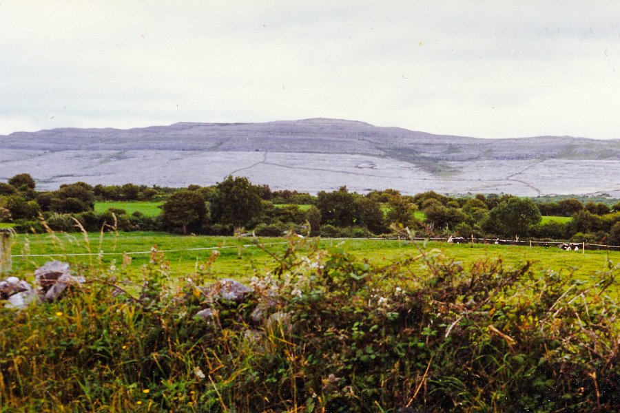 Irland94-43