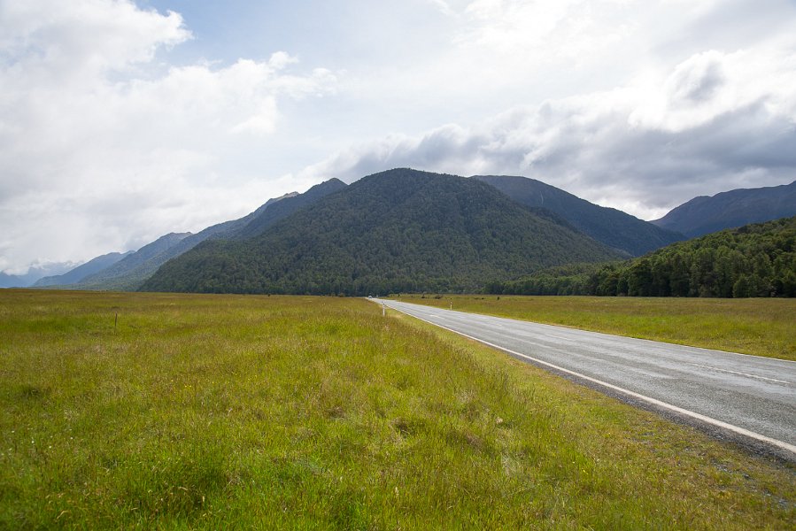 NewZealand-484