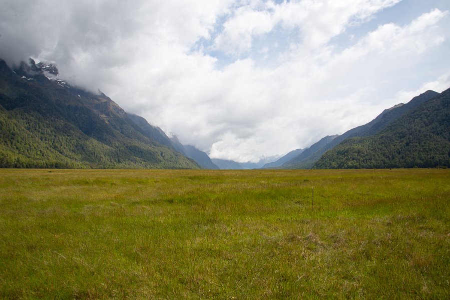 NewZealand-486