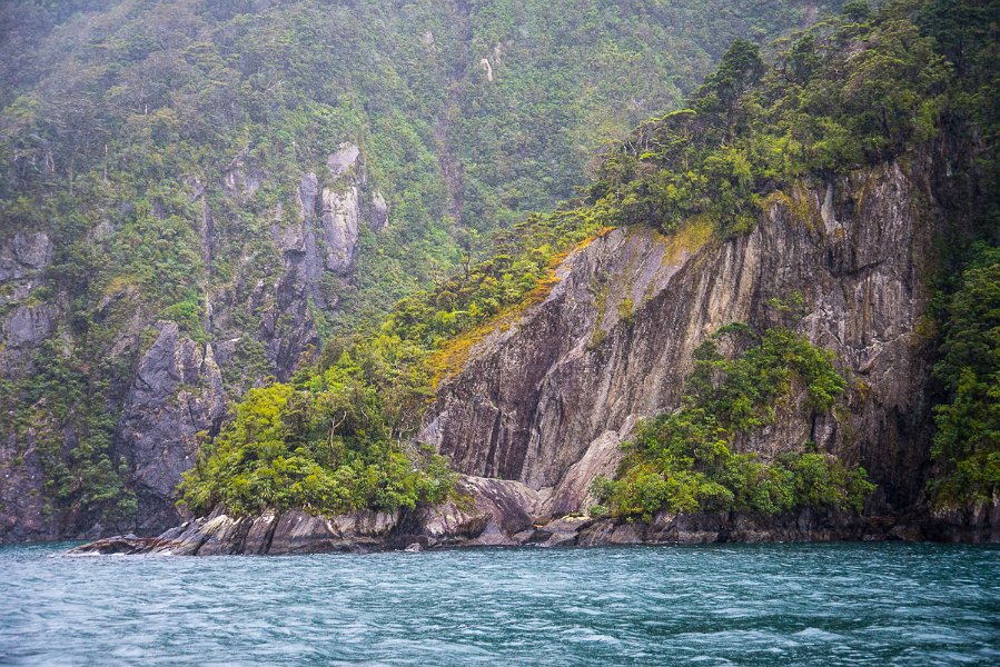 NewZealand-533