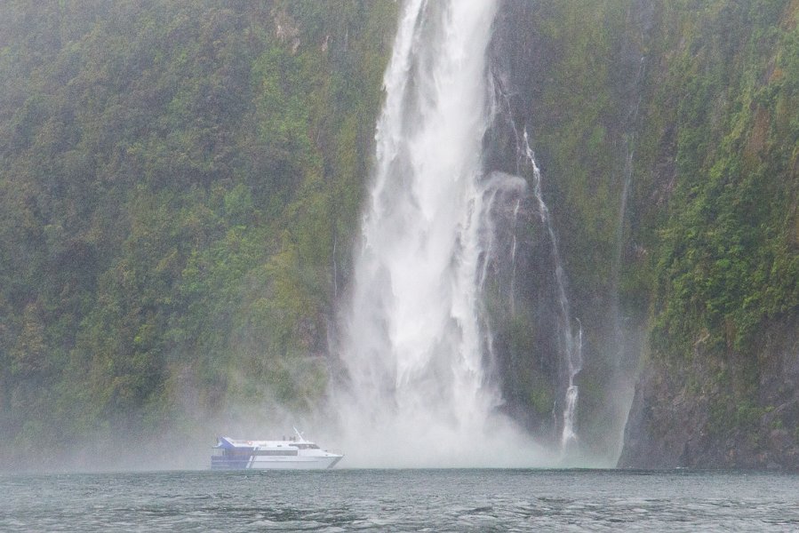 NewZealand-557