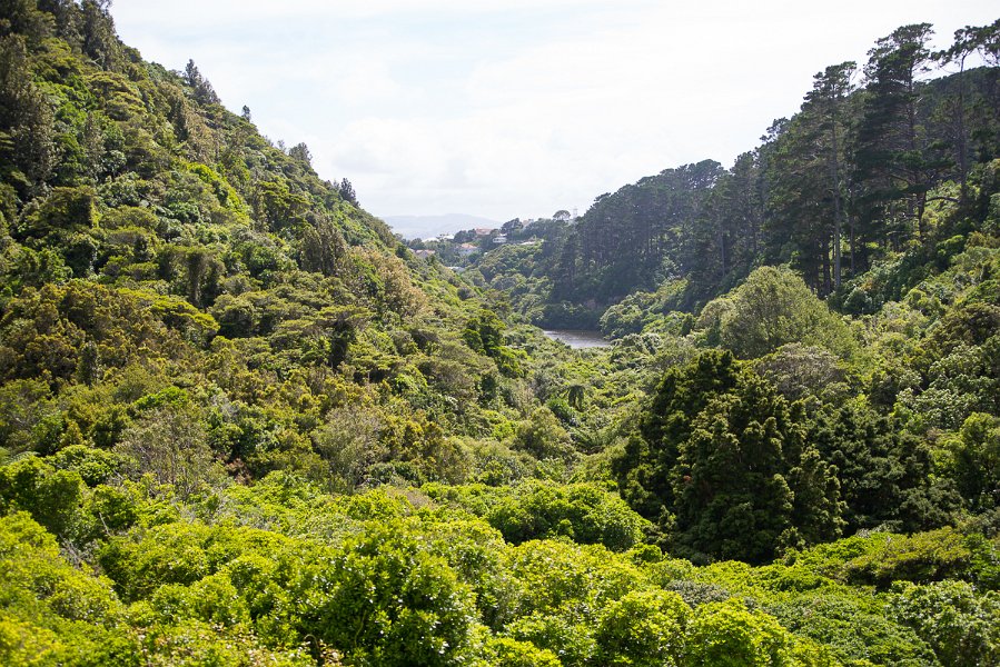 NewZealand-329