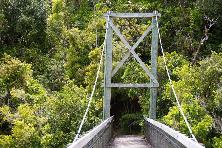 NewZealand-333