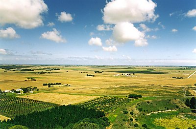 View from Mount Schank