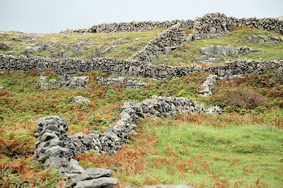 Some of the stone fences
