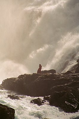 Dancing at  Kjosfossen