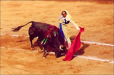 Alfredo and his bull