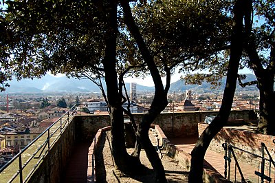 Udsigt fra Torre Guinigi